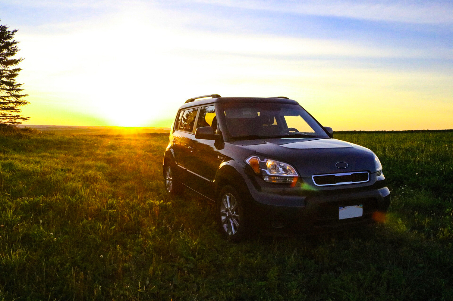 Top Purchased SUVs in 2021