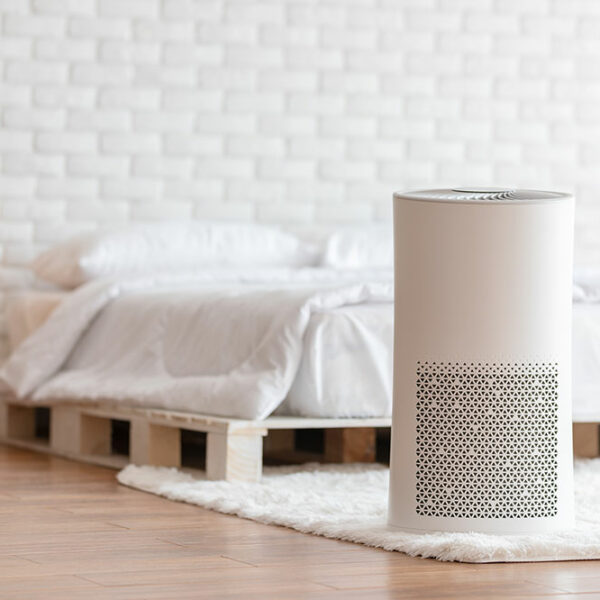 4 Best Eco-Friendly Air Purifiers