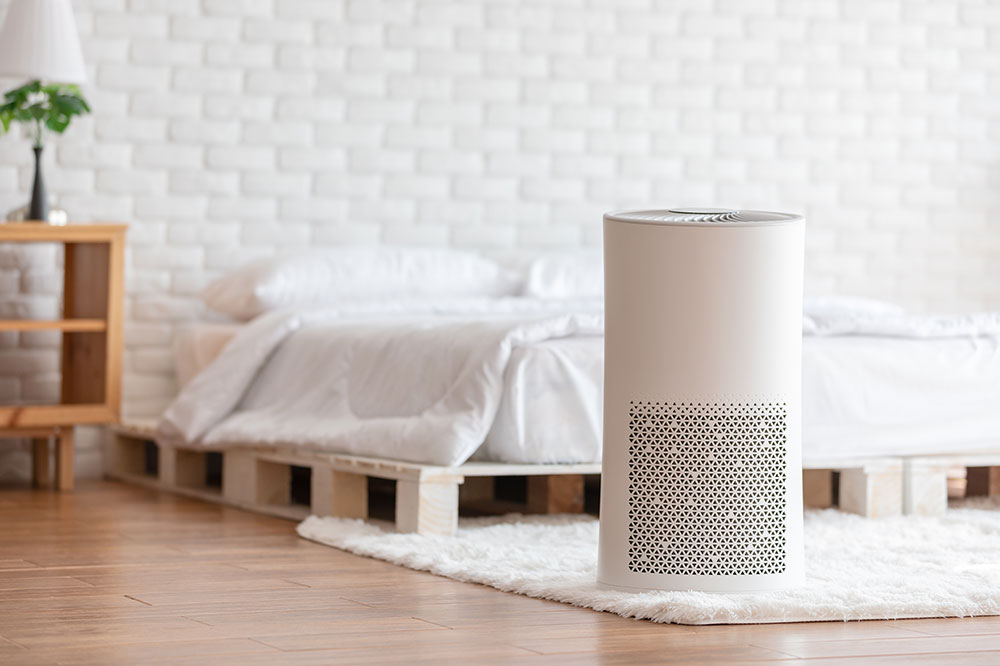 4 Best Eco-Friendly Air Purifiers