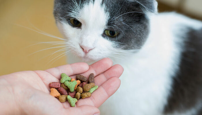 5 Common Ingredients for Healthy Cat Treats